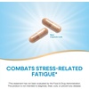 image:imageNatures Way Fatigued to Fantastic Adrenal Stress End StressRelated Fatigue Support 60 Count