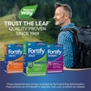 image:imageNatures Way Fortify Daily PreProbiotic Adult 30 Billion Probiotics for Immune and Digestive Health Support 30 Billion Live Cultures 30 Capsules Packaging May Vary30 Count Pack of 1