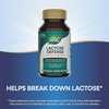 image:imageNatures Way Lactose Defense Digestive Enzymes Supports the Digestion of Dairy 690 mg lactase per 3Capsule Serving 100 Capsules Packaging May Vary