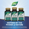 image:imageNatures Way Lactose Defense Digestive Enzymes Supports the Digestion of Dairy 690 mg lactase per 3Capsule Serving 100 Capsules Packaging May Vary