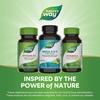 image:imageNatures Way Mega 369 Omega Blend Supports Healthy Skin Joints Cardiovascular Function Fish Flax Borage Oil 90 Lime Flavored Softgels Packaging May Vary90 Count Pack of 1