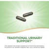 image:imageNatures Way Nettle Leaf Traditional Urinary Support 870 mg per 2Capsule Serving NonGMO Project Verified Vegan 100 Capsules100 Count Pack of 1