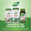 image:imageNatures Way Nettle Leaf Traditional Urinary Support 870 mg per 2Capsule Serving NonGMO Project Verified Vegan 100 Capsules100 Count Pack of 2