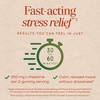 image:imageNatures Way Quick Calm Gummies StressReducing Gummy with LTheanine FastActing Stress Relief Within 3060 Minutes1 with Ashwagandha Vegetarian Mixed Berry Flavored 60 Gummies