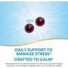 image:imageNatures Way Stress Defense Gummies Stress Support Supports Balanced Cortisol Response with Sensoril Ashwagandha Vitamins B6 C and D3 Raspberry Flavored 90 Gummies Packaging May Vary
