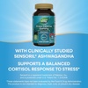 image:imageNatures Way Stress Defense Gummies Stress Support Supports Balanced Cortisol Response with Sensoril Ashwagandha Vitamins B6 C and D3 Raspberry Flavored 90 Gummies Packaging May Vary